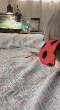 IMG_0425.jpeg