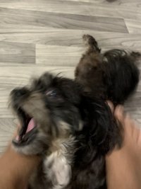IMG_5792.jpeg