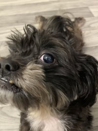 IMG_5794.jpeg