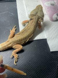 IMG_1437.jpeg