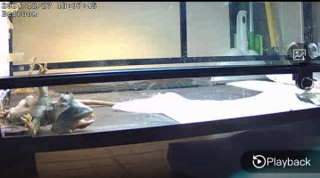 IMG_1441.jpeg