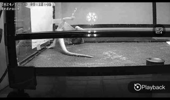 IMG_1439.jpeg