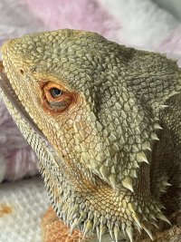 IMG_1427.jpeg