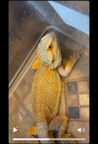 IMG_1611.jpeg