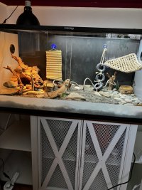 IMG_7013.jpeg