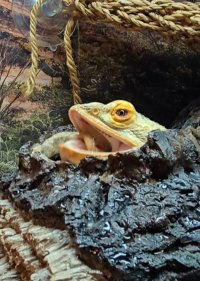 VideoCapture_20250103-201816.jpg