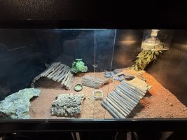 IMG_0360.jpeg