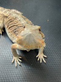 IMG_0842.jpeg