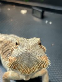 IMG_0844.jpeg
