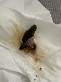 IMG_7429.JPG