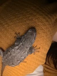 IMG_6911.jpeg