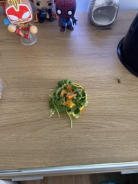 IMG_9348.jpeg