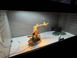IMG_1367.jpeg