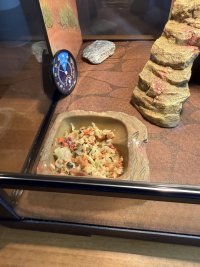 IMG_7032.jpeg