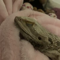 IMG_2022.jpeg