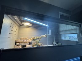 IMG_1414.jpeg