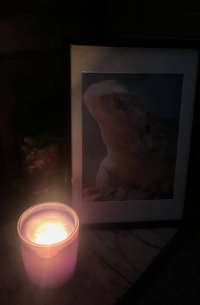 IMG_5310.jpeg
