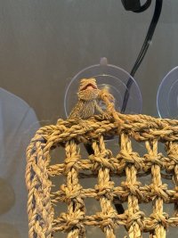 IMG_7085.jpeg