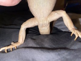 IMG_2935.jpeg