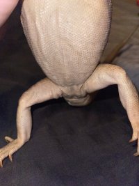 IMG_2934.jpeg