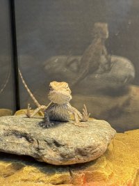 IMG_7098.jpeg