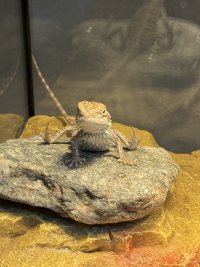 IMG_7100.jpeg