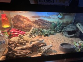 IMG_6659.jpeg
