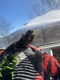 IMG_0710.jpeg