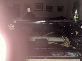 IMG_1003.jpeg
