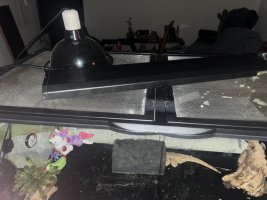 IMG_1005.jpeg