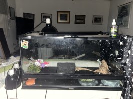 IMG_1006.jpeg