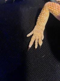 20250316_114400.jpg