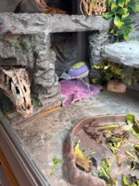 IMG_9977.jpeg