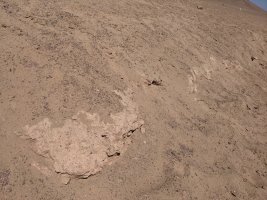 sand.jpg