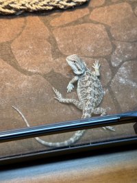 IMG_7357.jpeg