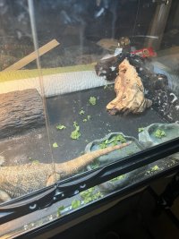 IMG_1054.jpeg