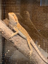 IMG_0980.jpeg