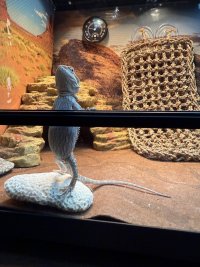 IMG_7395.jpeg