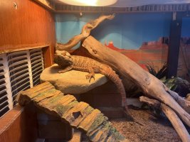 IMG_0487.jpg