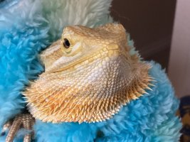 IMG_1173.jpeg
