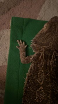 IMG_6380.jpeg