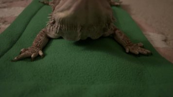 IMG_6382.jpeg