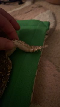 IMG_6383.jpeg