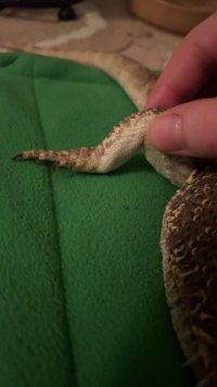 IMG_6384.jpeg