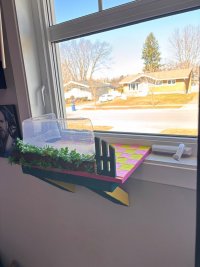 IMG_0478.jpeg