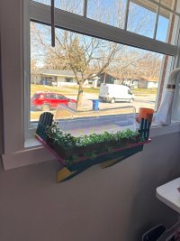 IMG_0477.jpeg