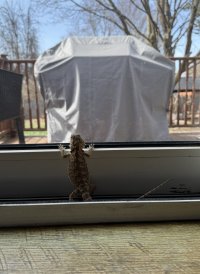 IMG_7418.jpeg