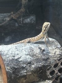 IMG_5219.jpeg