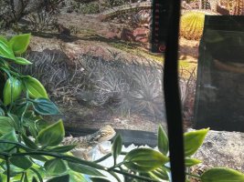 IMG_5228.jpeg