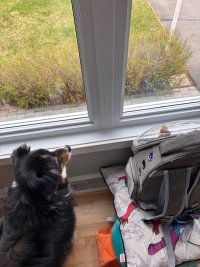 IMG_0770.jpeg